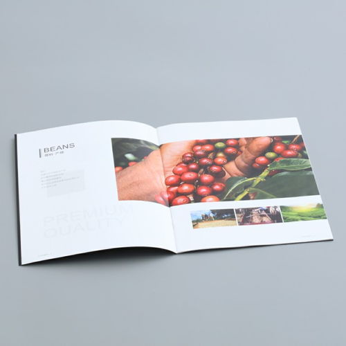 彩源印刷 值得信賴 圖 產(chǎn)品畫冊印刷公司 東莞產(chǎn)品畫冊印刷