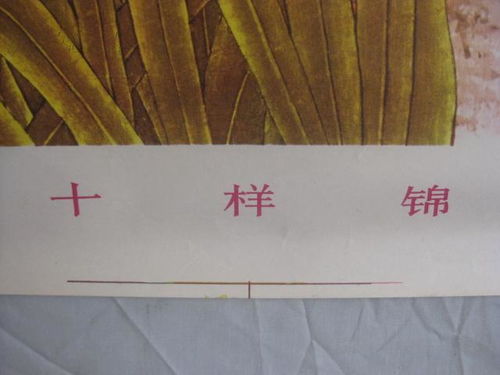 金正惠作 十樣錦 印刷品 畫一張 78 54厘米